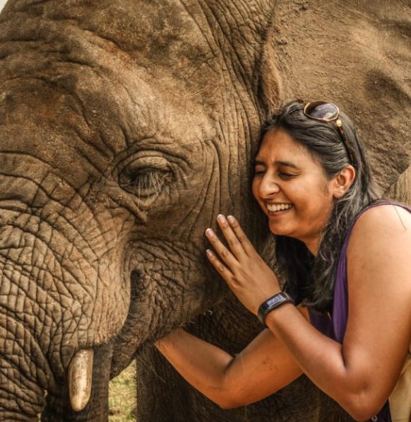 A visitor gently interacting with an elephant