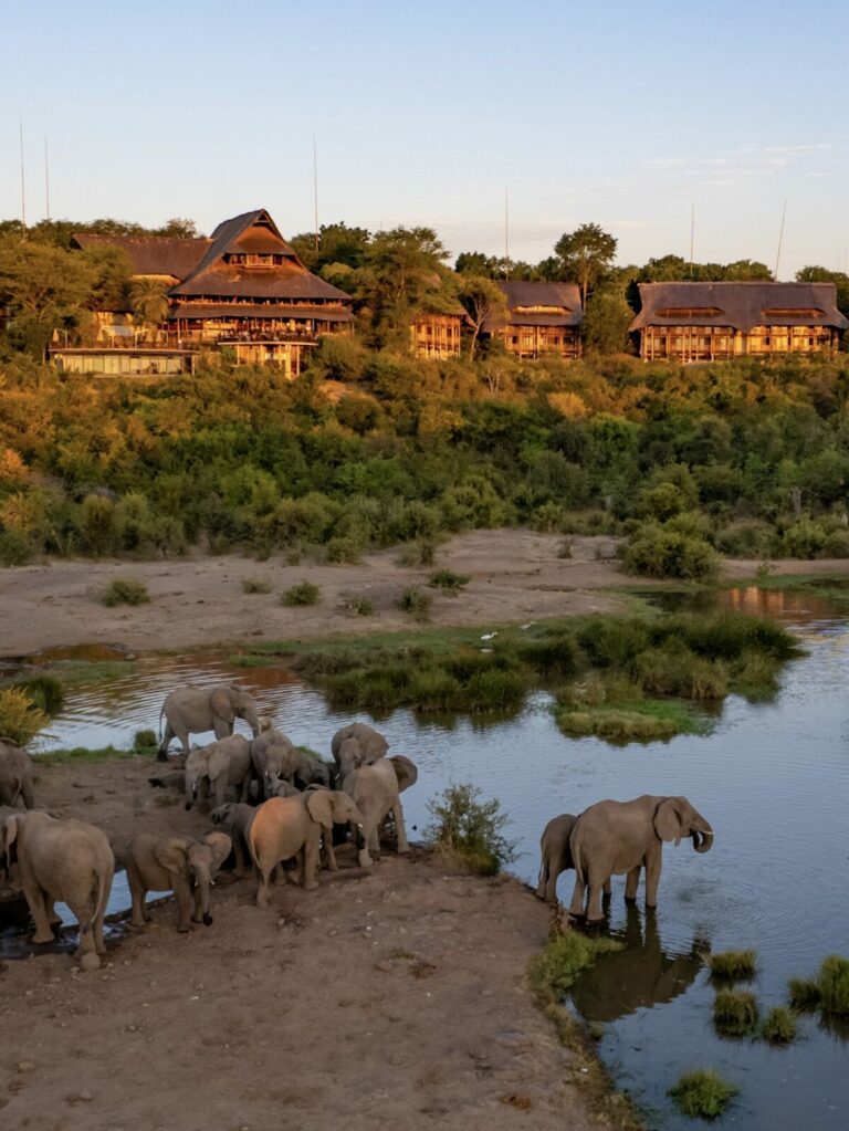 Safari lodge overlooking a waterhole with elephants
